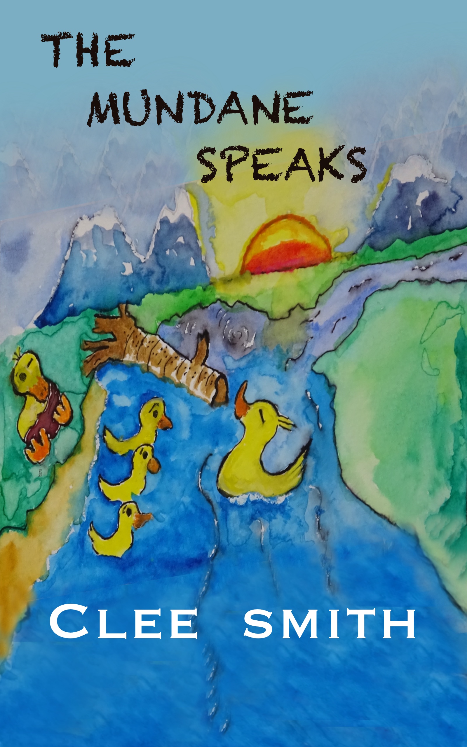 Book Cover