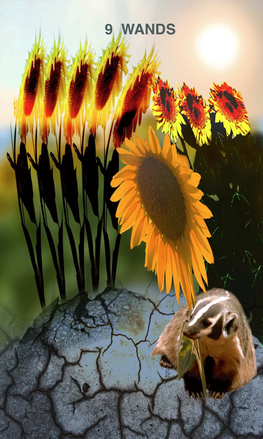 Nine of Wands
