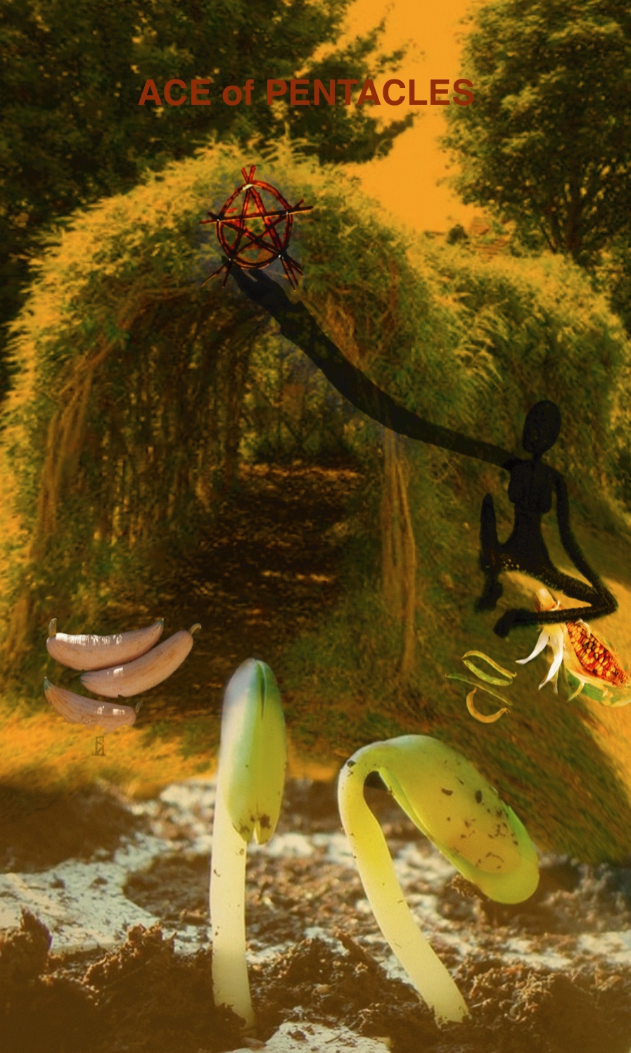 Ace of Pentacles